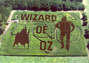 2007 corn maze